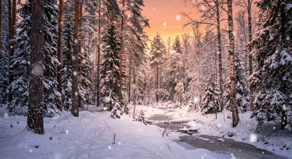 Cozy Snow Forest Loop